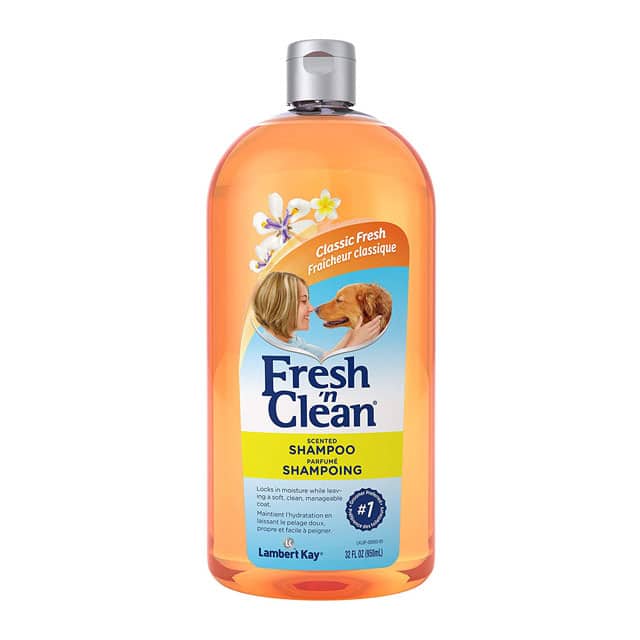 Fresh n clean scented shampoo