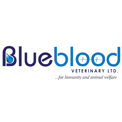 Blueblood vet